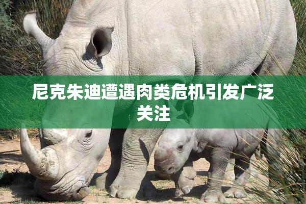 尼克朱迪遭遇肉类危机引发广泛关注