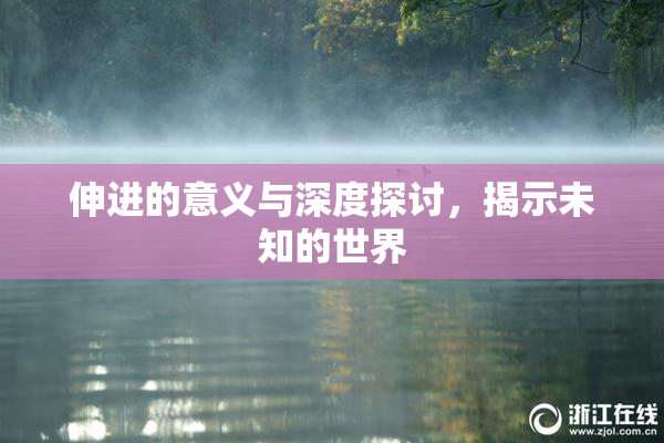 伸进的意义与深度探讨，揭示未知的世界