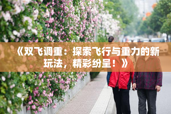 《双飞调重：探索飞行与重力的新玩法，精彩纷呈！》