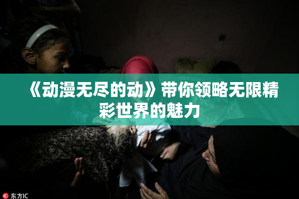 《动漫无尽的动》带你领略无限精彩世界的魅力
