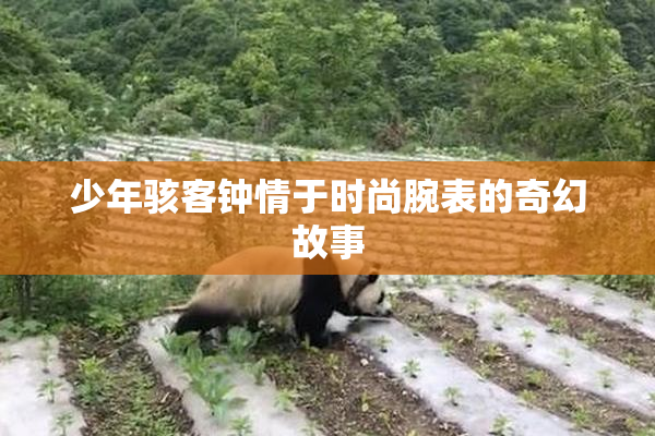 少年骇客钟情于时尚腕表的奇幻故事