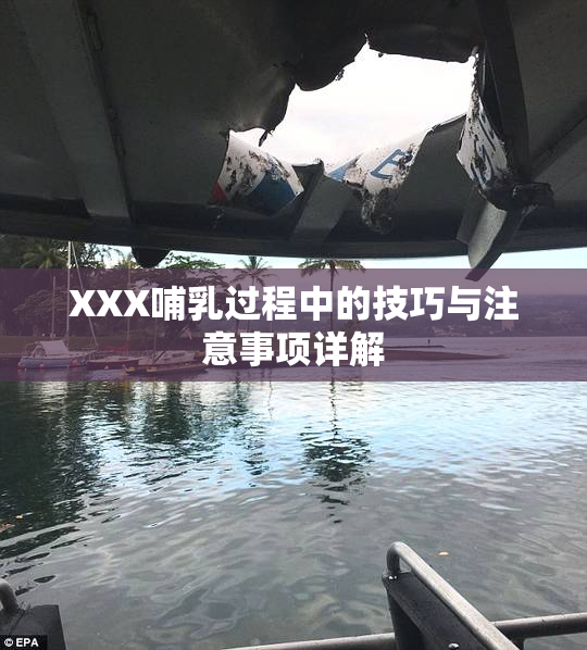 XXX哺乳过程中的技巧与注意事项详解