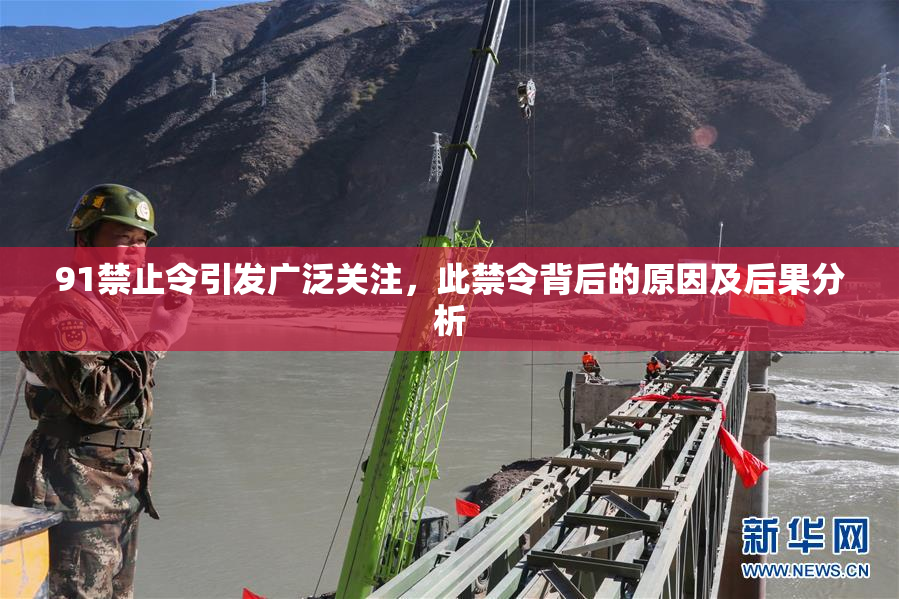 91禁止令引发广泛关注，此禁令背后的原因及后果分析