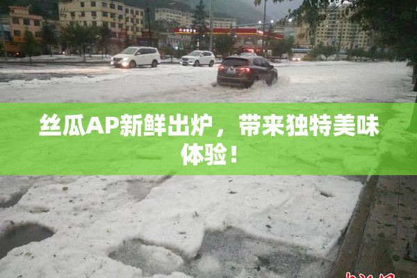 丝瓜AP新鲜出炉，带来独特美味体验！