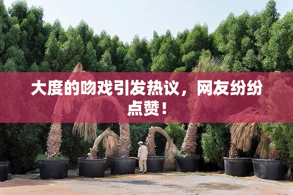 大度的吻戏引发热议，网友纷纷点赞！