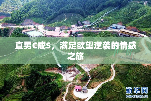 直男C成S，满足欲望逆袭的情感之旅