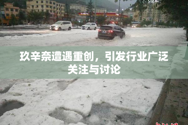 玖辛奈遭遇重创，引发行业广泛关注与讨论