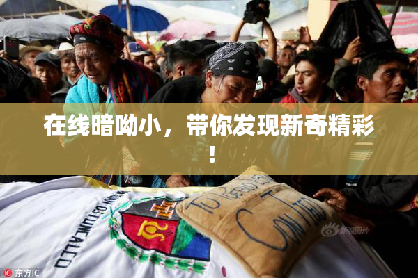 在线暗呦小，带你发现新奇精彩！
