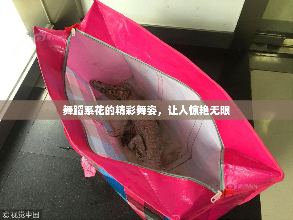 舞蹈系花的精彩舞姿，让人惊艳无限