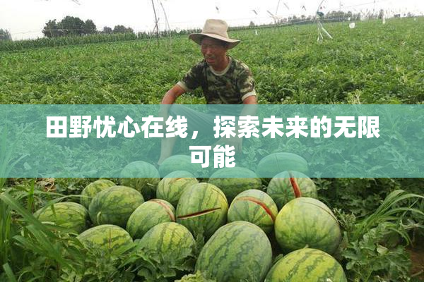 田野忧心在线，探索未来的无限可能