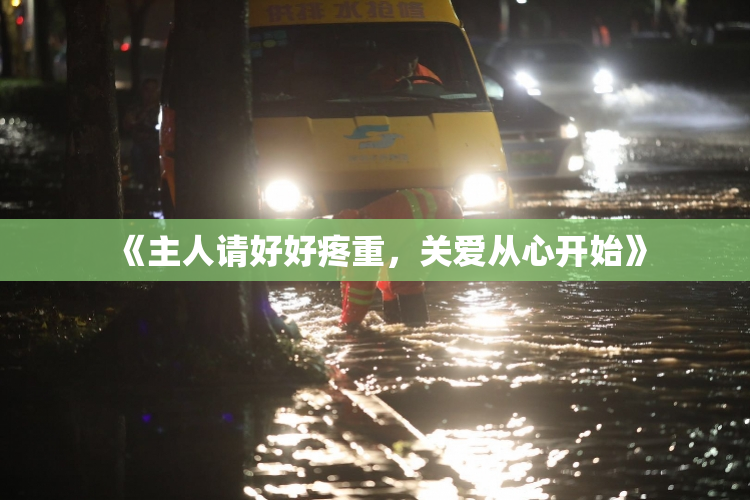《主人请好好疼重，关爱从心开始》