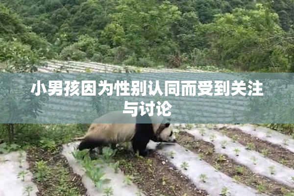 小男孩因为性别认同而受到关注与讨论
