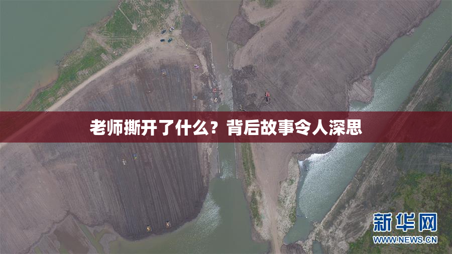 老师撕开了什么？背后故事令人深思