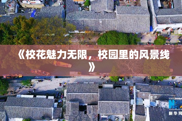 《校花魅力无限，校园里的风景线》