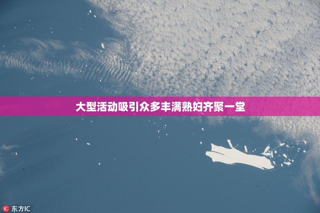 大型活动吸引众多丰满熟妇齐聚一堂