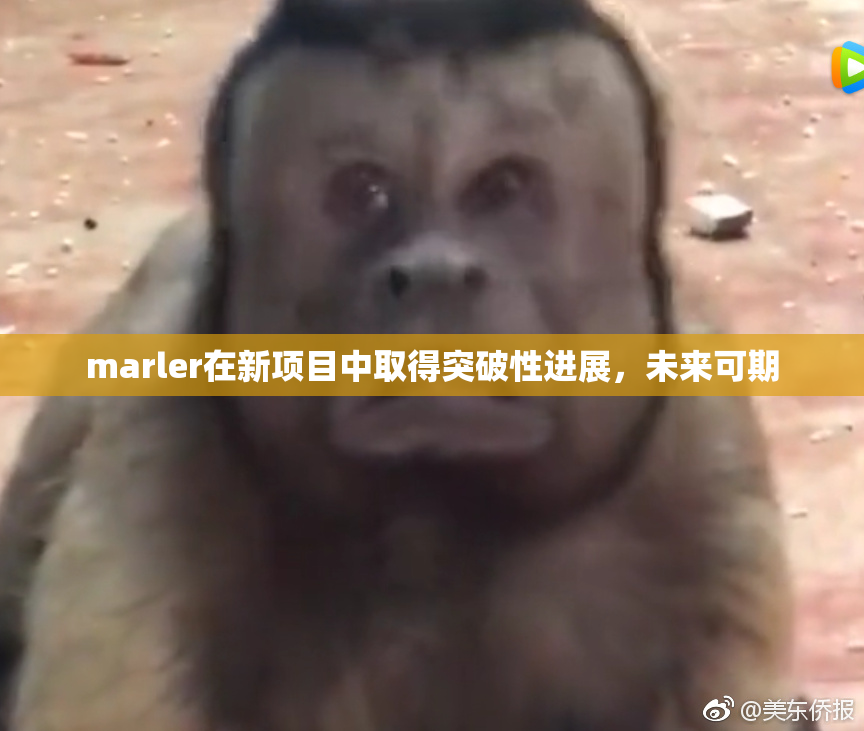 marler在新项目中取得突破性进展，未来可期
