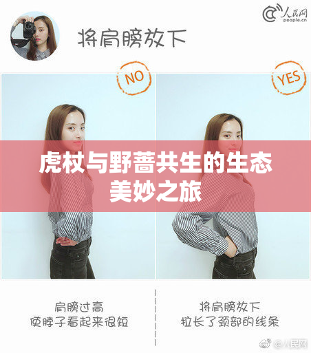 虎杖与野蔷共生的生态美妙之旅