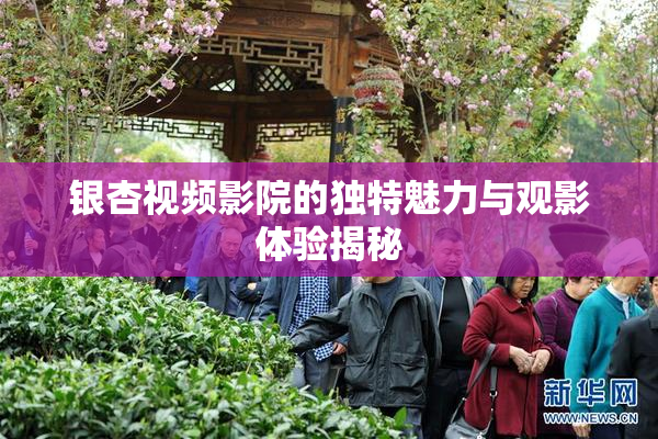 银杏视频影院的独特魅力与观影体验揭秘