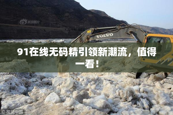 91在线无码精引领新潮流，值得一看！