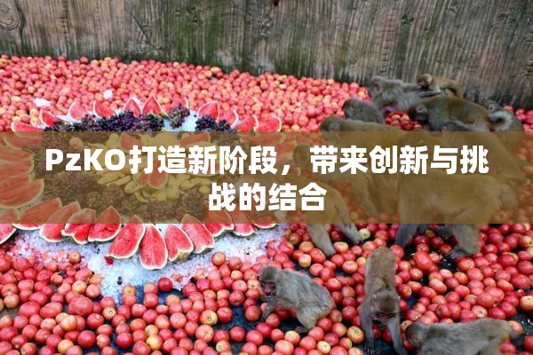 PzKO打造新阶段，带来创新与挑战的结合