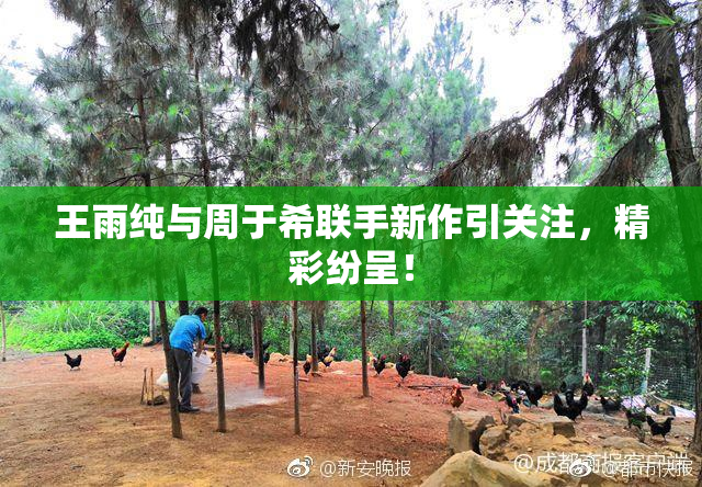 王雨纯与周于希联手新作引关注，精彩纷呈！