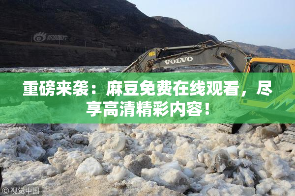 重磅来袭：麻豆免费在线观看，尽享高清精彩内容！