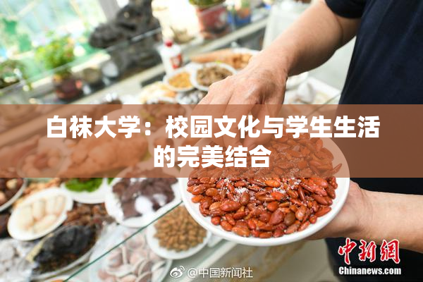 白袜大学：校园文化与学生生活的完美结合