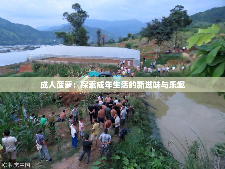 成人菠萝：探索成年生活的新滋味与乐趣