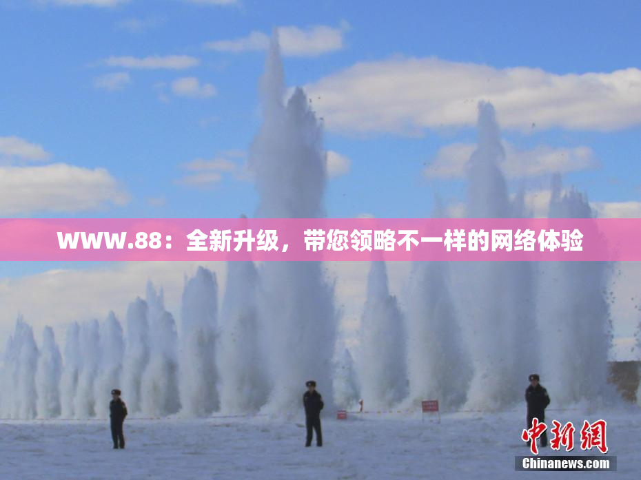 WWW.88：全新升级，带您领略不一样的网络体验