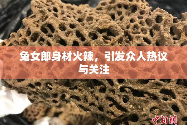 兔女郎身材火辣，引发众人热议与关注
