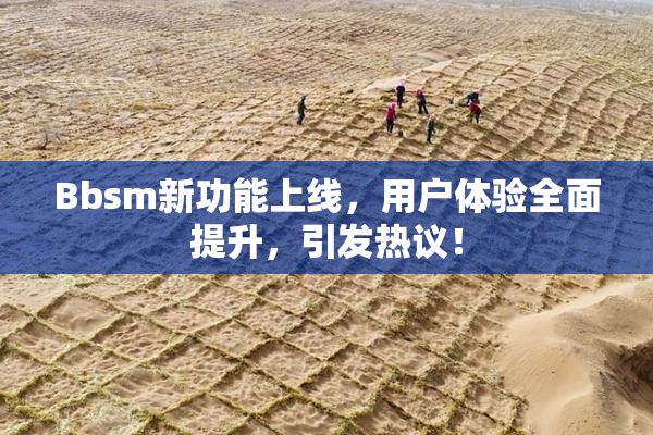 Bbsm新功能上线，用户体验全面提升，引发热议！