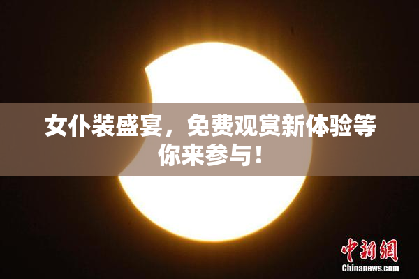 女仆装盛宴，免费观赏新体验等你来参与！