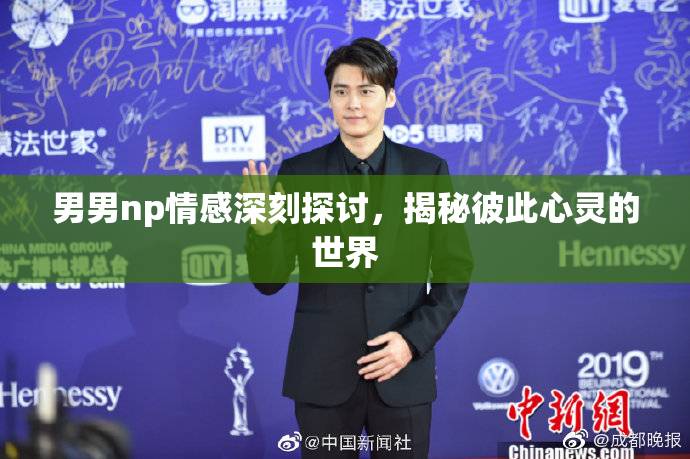 男男np情感深刻探讨，揭秘彼此心灵的世界