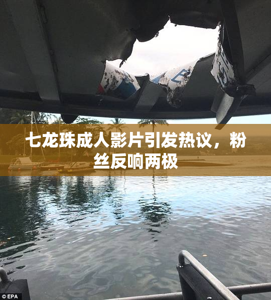 七龙珠成人影片引发热议，粉丝反响两极