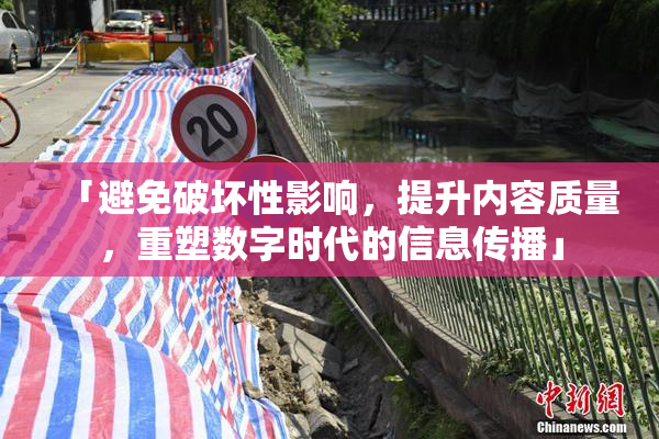 「避免破坏性影响，提升内容质量，重塑数字时代的信息传播」