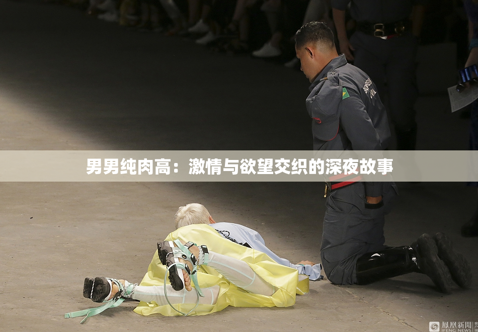 男男纯肉高：激情与欲望交织的深夜故事