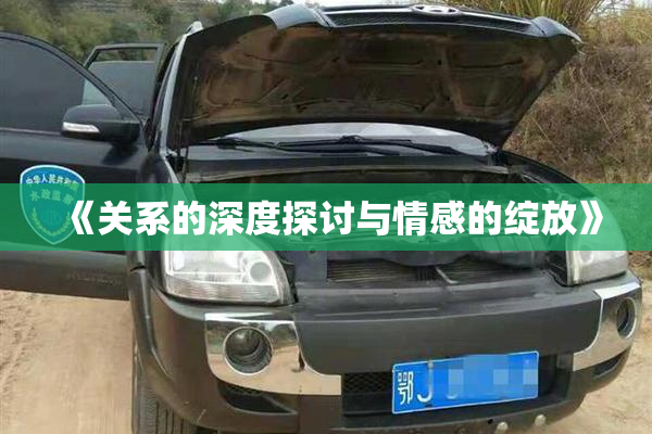 《关系的深度探讨与情感的绽放》
