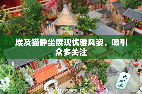 埃及猫静坐展现优雅风姿，吸引众多关注