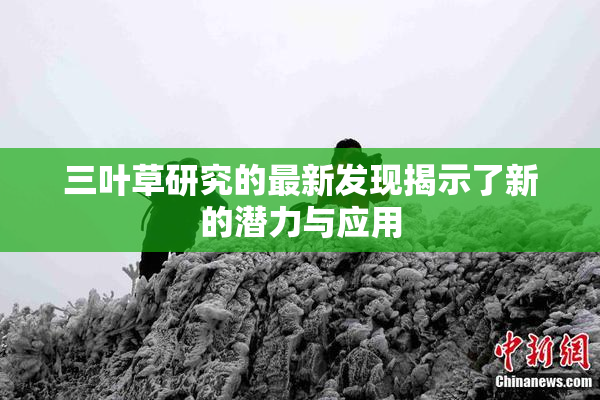 三叶草研究的最新发现揭示了新的潜力与应用