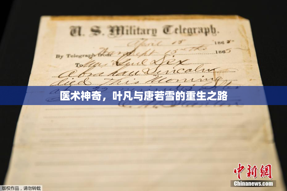 医术神奇，叶凡与唐若雪的重生之路