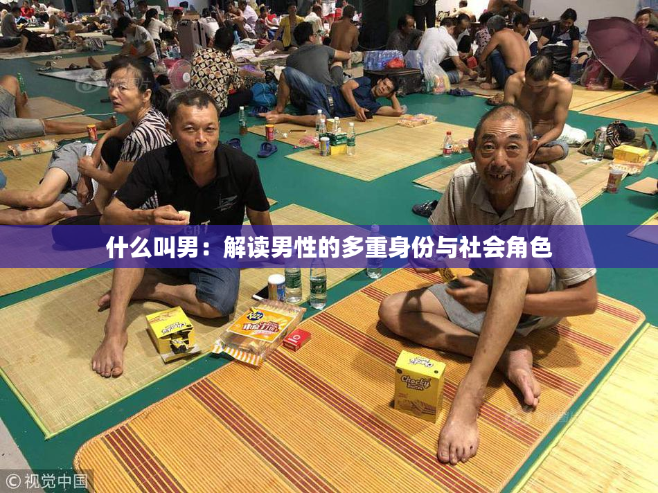 什么叫男：解读男性的多重身份与社会角色