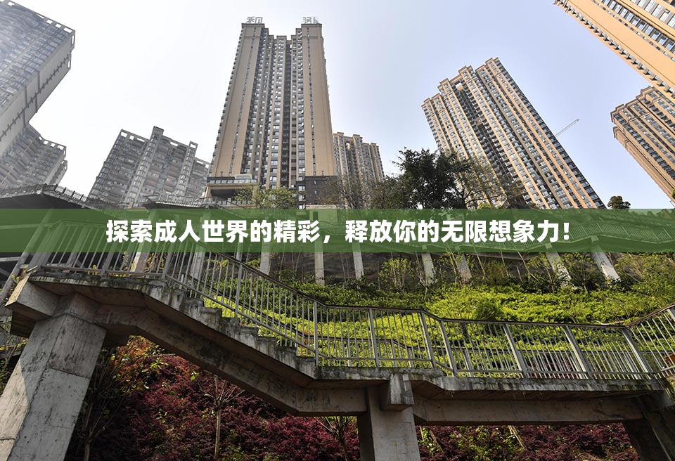 探索成人世界的精彩，释放你的无限想象力！
