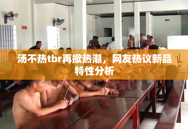 汤不热tbr再掀热潮，网友热议新品特性分析
