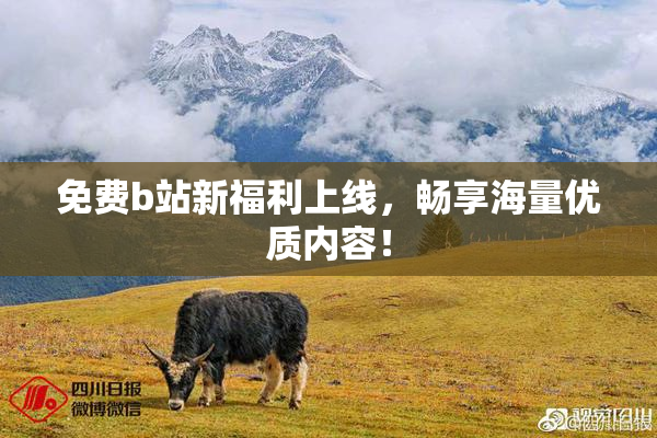免费b站新福利上线，畅享海量优质内容！