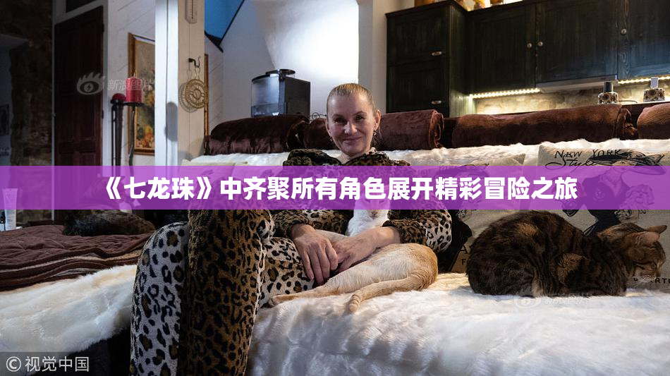 《七龙珠》中齐聚所有角色展开精彩冒险之旅
