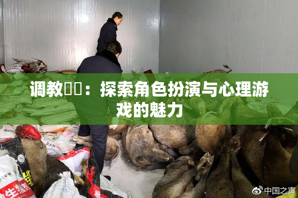 调教妺妺：探索角色扮演与心理游戏的魅力