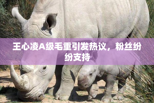 王心凌A级毛重引发热议，粉丝纷纷支持