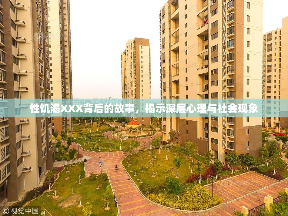 性饥渴XXX背后的故事，揭示深层心理与社会现象