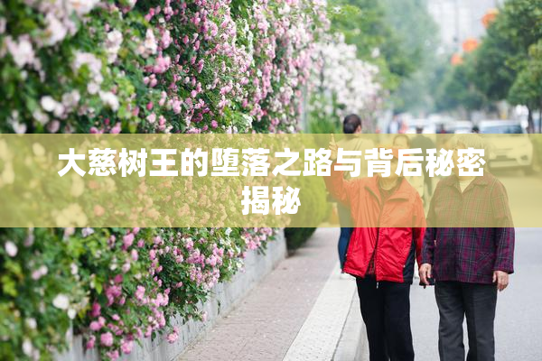 大慈树王的堕落之路与背后秘密揭秘