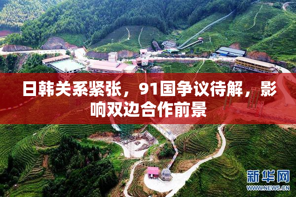 日韩关系紧张，91国争议待解，影响双边合作前景